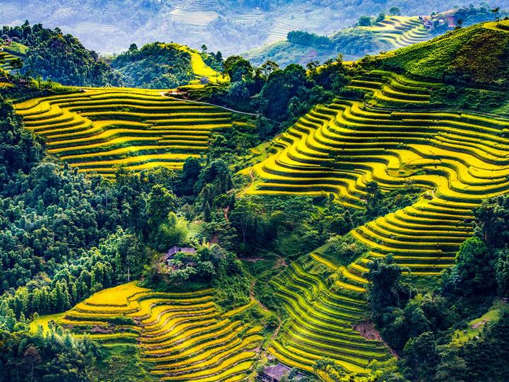 Hotspot Matrix: Biến Út Lan: Oán Linh Giữ Của – thành cơ hội marketing đột phá