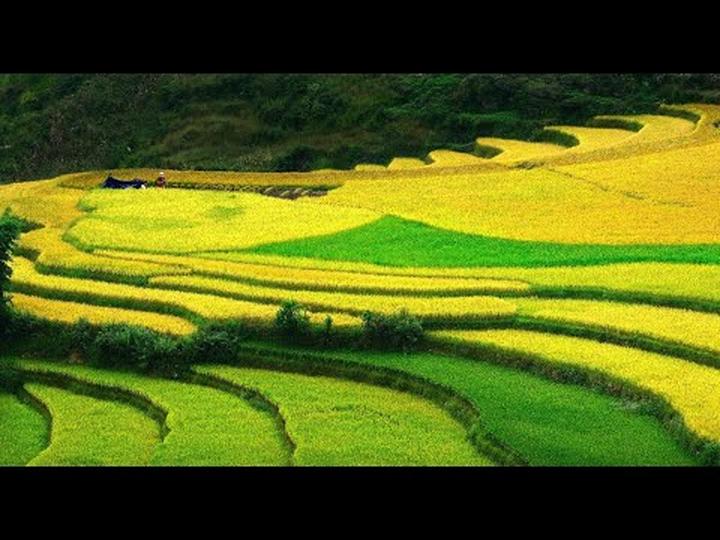 Những ai bị phát hiện gỡ giỏ - Cảm hứng video marketing từ Hotspot Matrix
