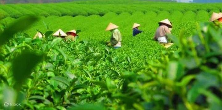 Xu hướng Con gái