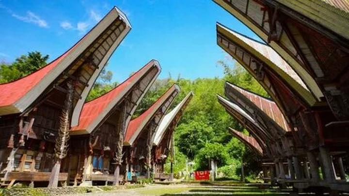 Xu hướng Sốc nặng với