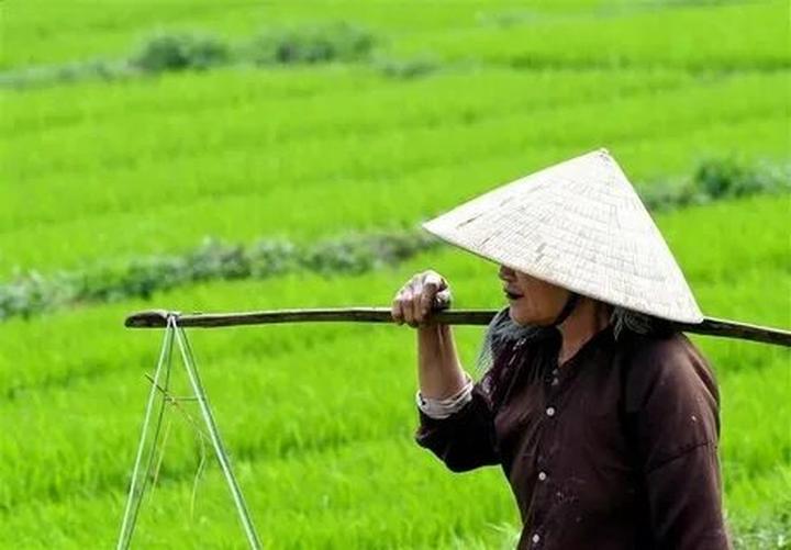 Hưu trí năng động: Tìm lại giá trị với Hotspot Matrix