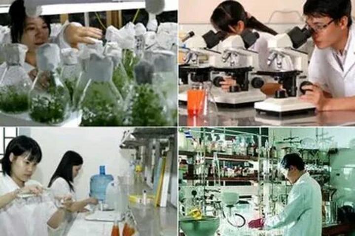 Xu hướng 4 kiểu áo sơ mi dìm dáng, xỉn: Hotspot Matrix tiết lộ bí quyết video viral